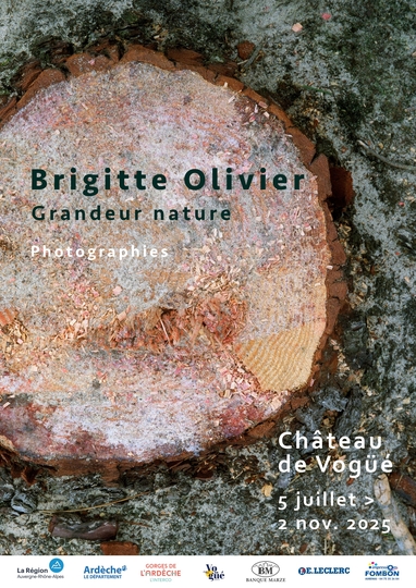 Exposition au Château de Vogüé