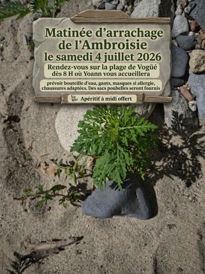 Matinée arrachage ambroisie
