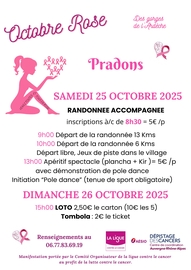 Pradons Octobre Rose_20251007_204801_0000